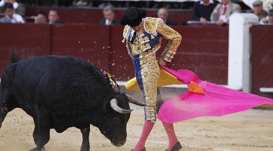 Bullfighters+Bulges bull passes by spanish bullfighter cayetano during a bullfight at