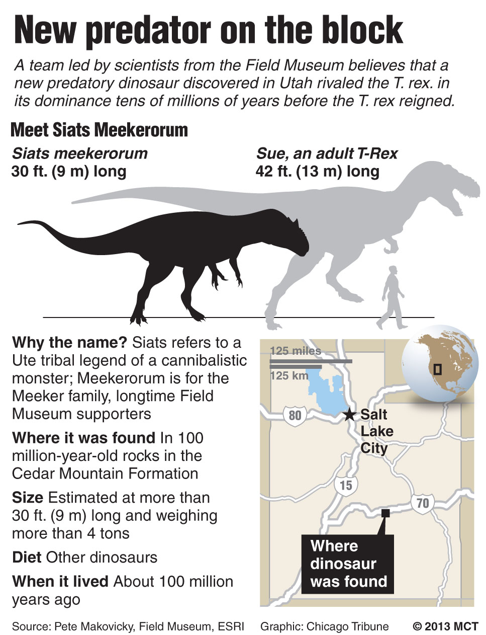 dinosaur siats meekerorum