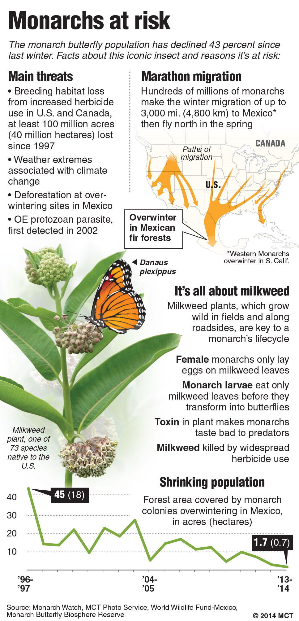 Newsela | Scientists worry over disappearing monarch butterfly