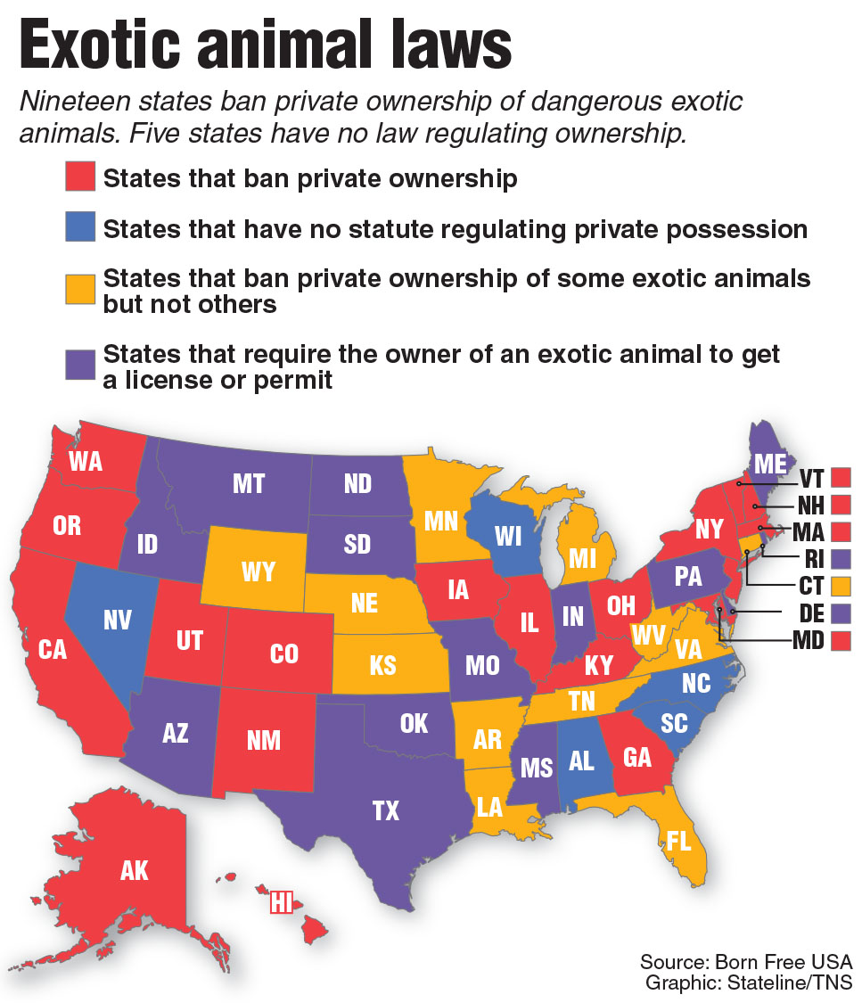 Newsela Leaders in U.S. states worry about dangerous pets like lions